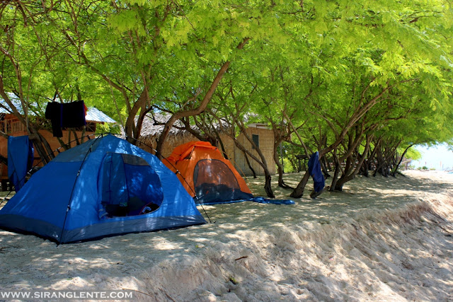 Community life view 5